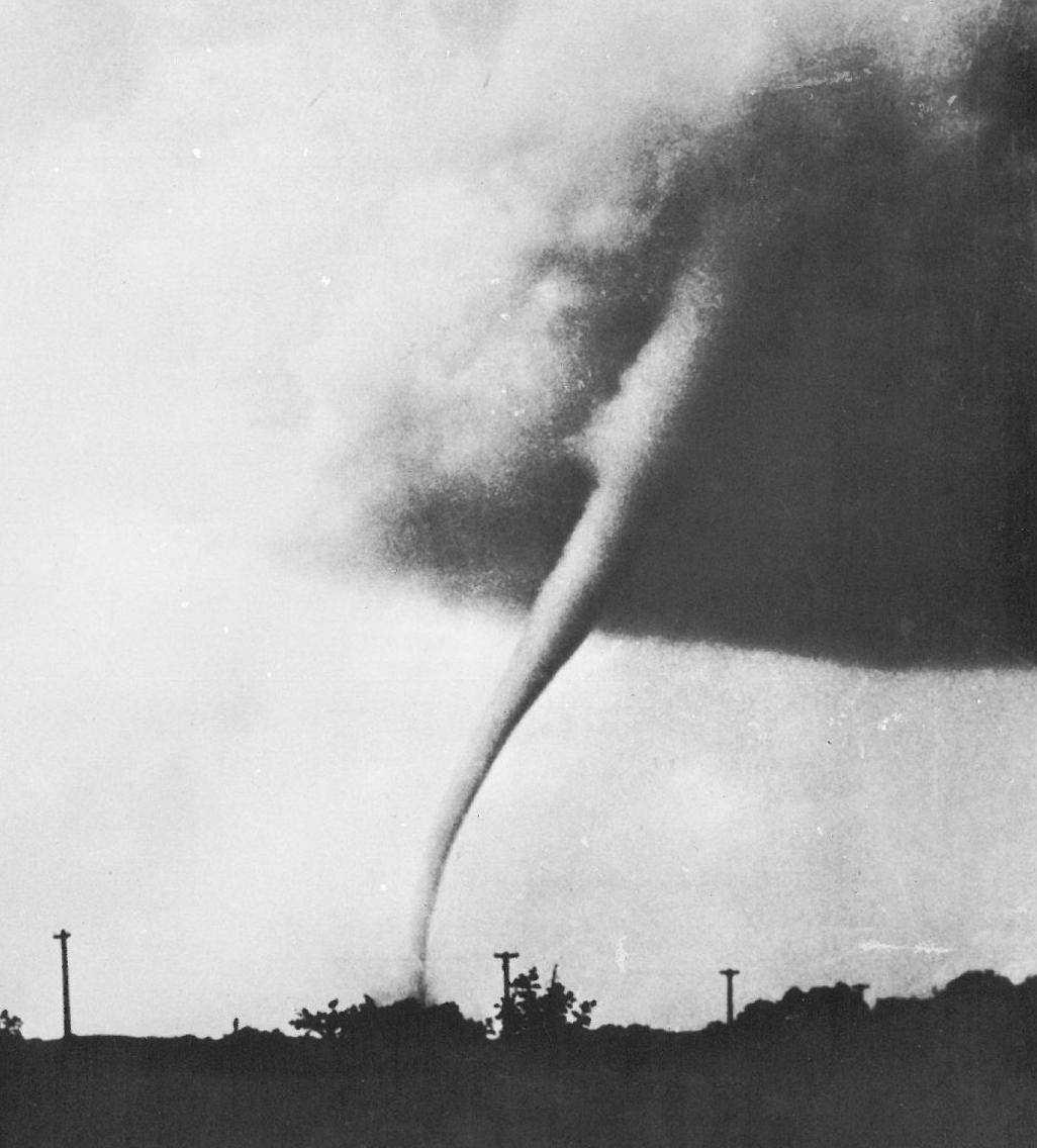 It's a Twister!